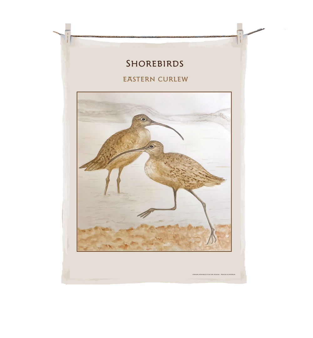 Shorebirds - Tea Towel Heron image 2