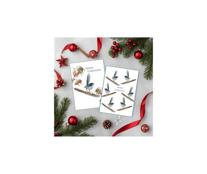 Set of 4 Blue Wren and Gum Christmas Cards