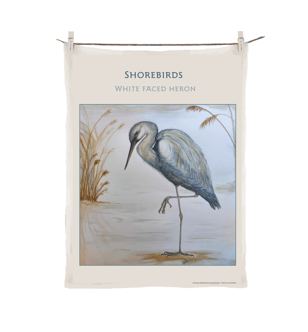 Shorebirds - Eastern Curlews image 2