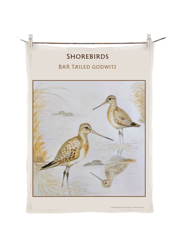 Shorebirds -Red Capped Plovers image 3