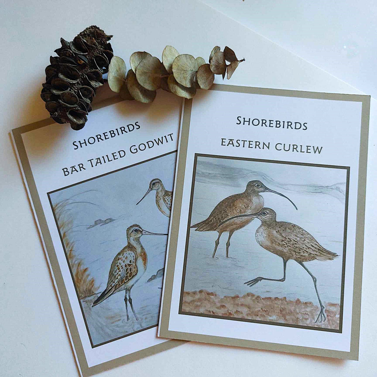 Shorebird blank Cards set of 2 image 0