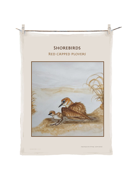 Shorebirds -Red Capped Plovers image 0