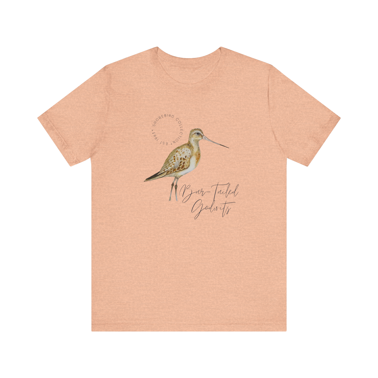 Vintage Shorebird Bar Tailed Godwit Print T-Shirt: Eco-Friendly Bird Lover Apparel