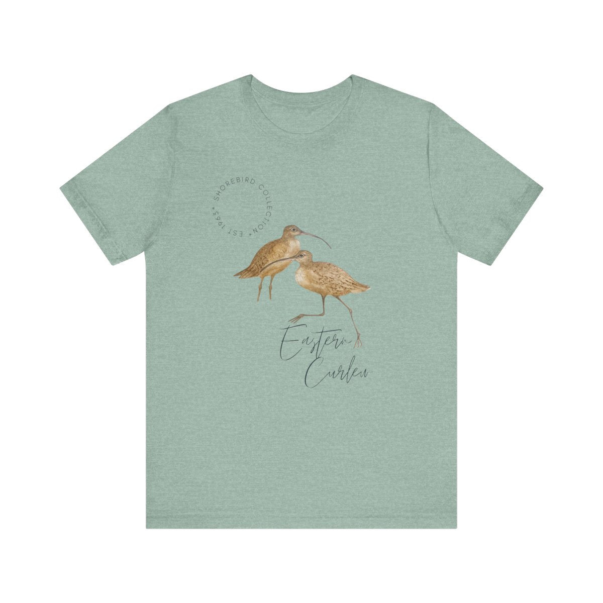Vintage Shorebird Eastern Curlew Print T-Shirt: Eco-Friendly Bird Lover Apparel