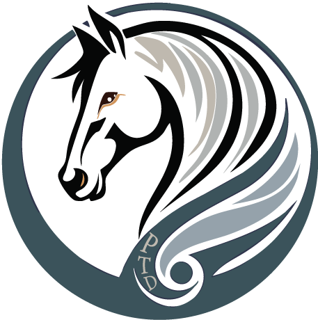 Pony Tail Designs