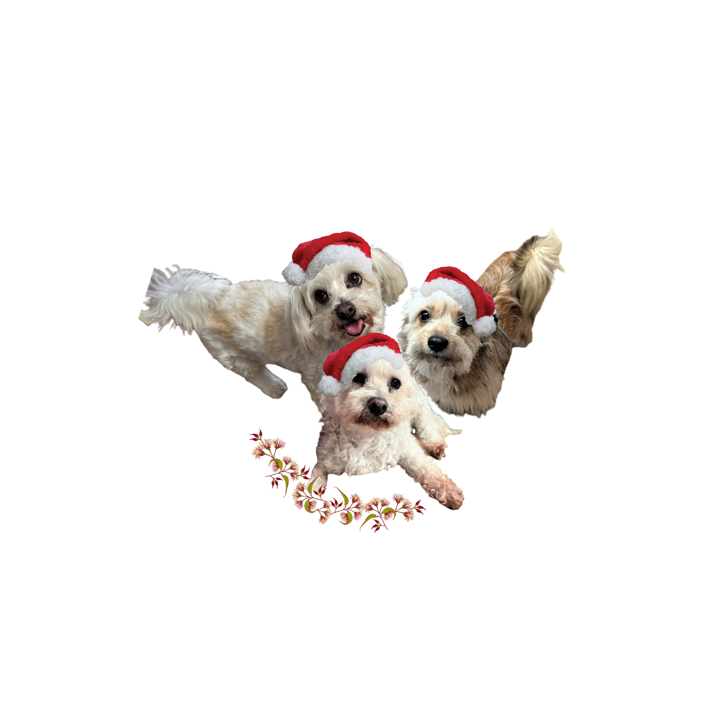 Customised Pet Tea Towel