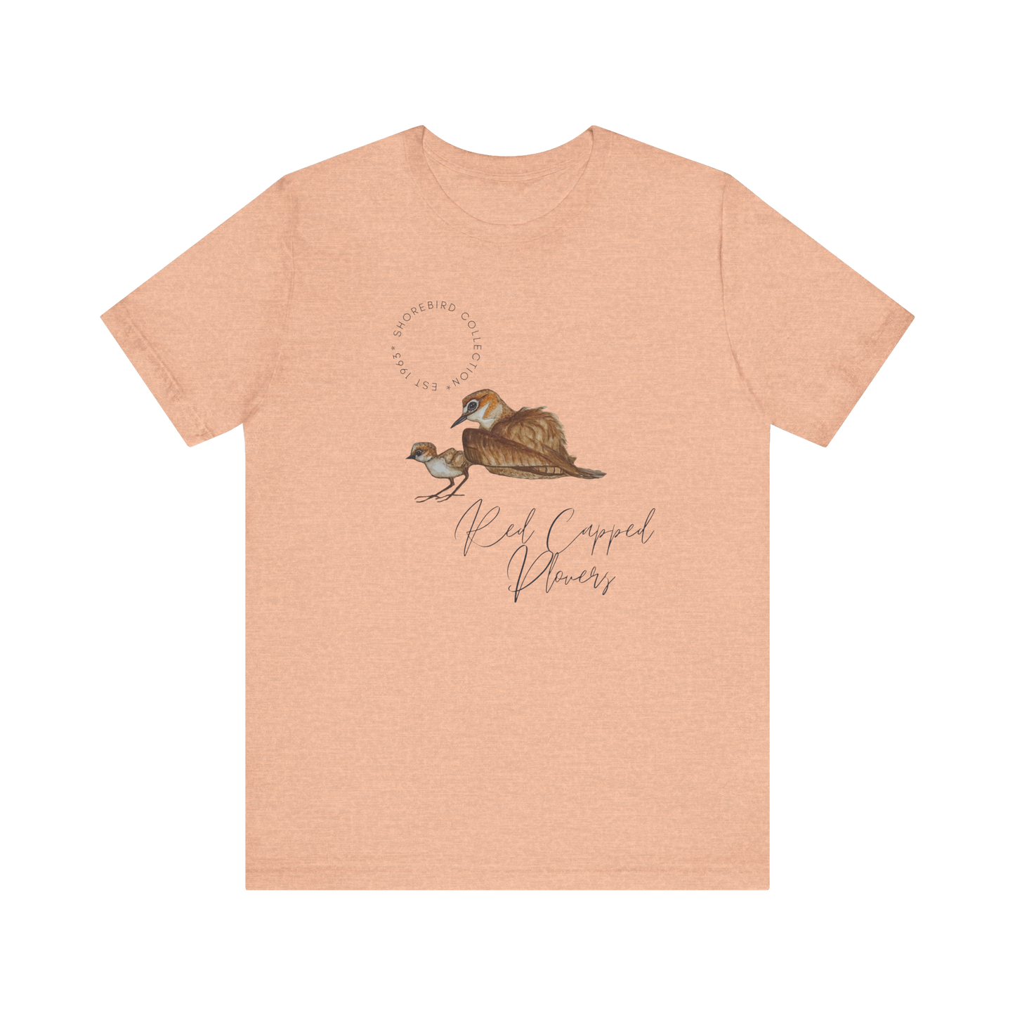 Vintage Shorebird Red Capped Plovers Print T-Shirt: Eco-Friendly Bird Lover Apparel