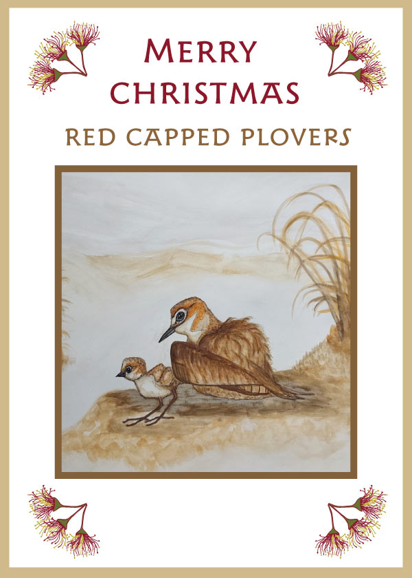 Shorebird Christmas Cards set of 4