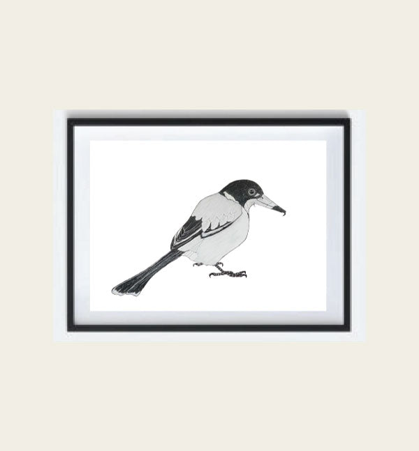 Australian Butcher Bird Art Print