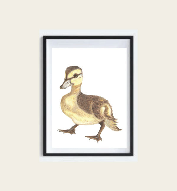 Nursery Art Print - Baby Duckling