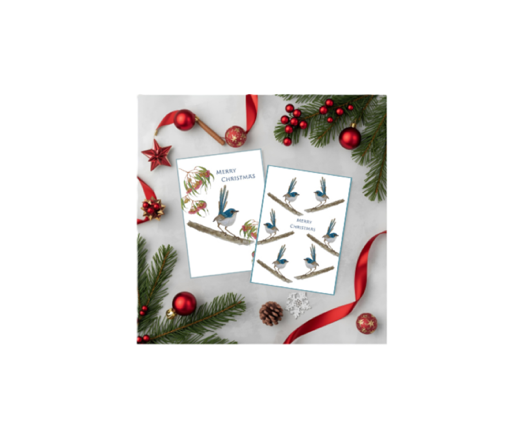 Set of 2 Blue Wren Christmas Cards