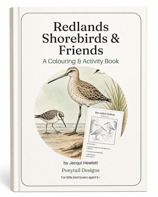 Redlands Shorebirds & Friends — Complete Colouring & Discovery Book for kids