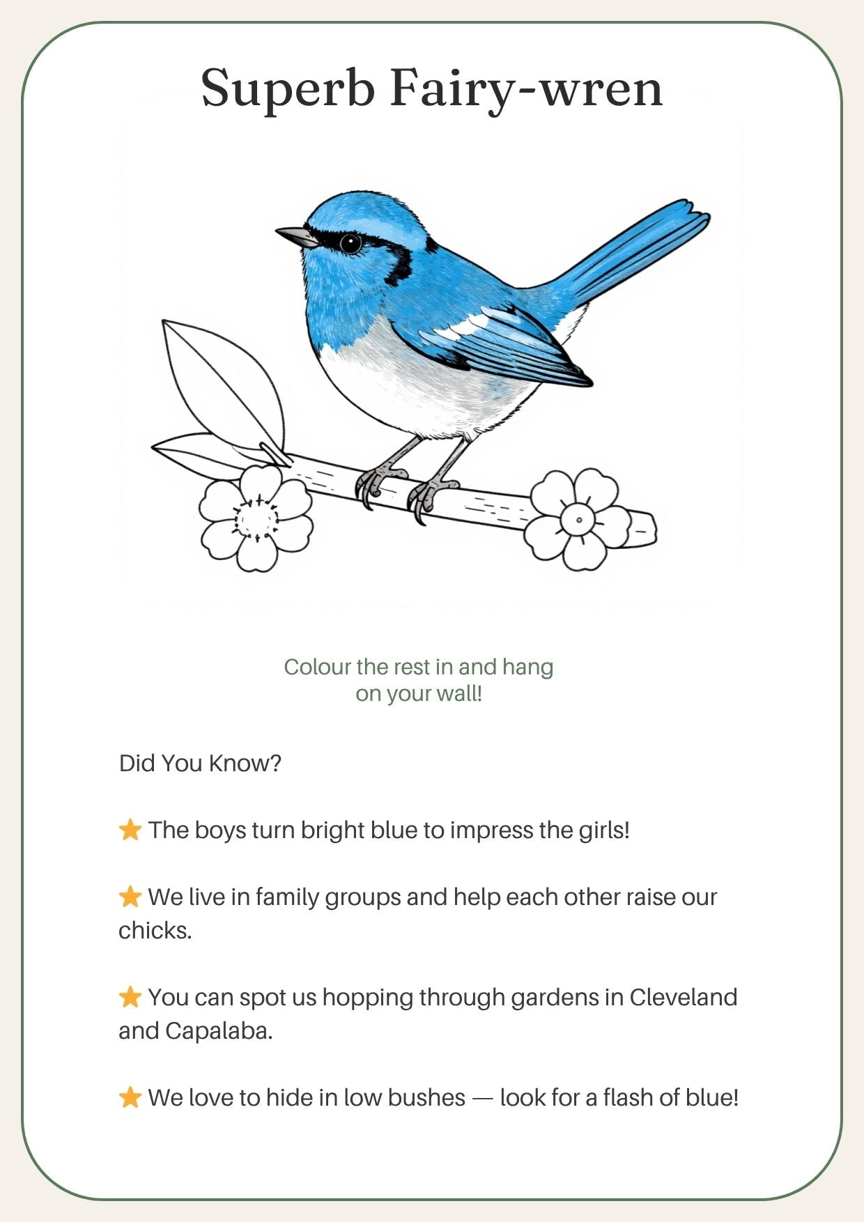 Redlands Shorebirds & Friends — Complete Colouring & Discovery Book for kids