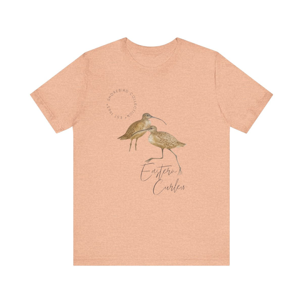 Vintage Shorebird Eastern Curlew Print T-Shirt: Eco-Friendly Bird Lover Apparel