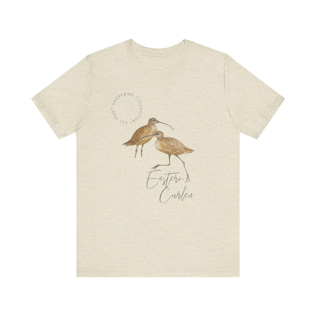 Vintage Shorebird Eastern Curlew Print T-Shirt: Eco-Friendly Bird Lover Apparel