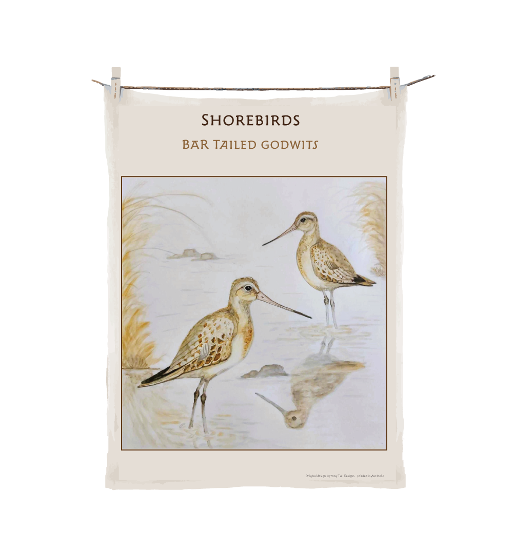 Shorebirds -Bar Tailed Godwits image 0