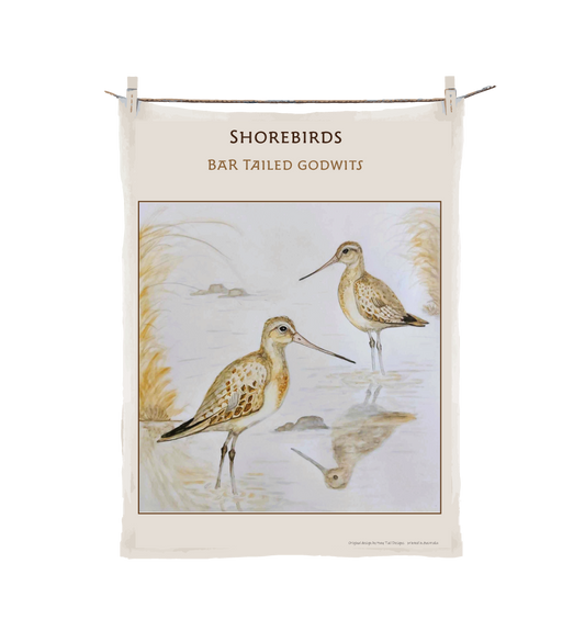 Shorebirds -Bar Tailed Godwits image 0