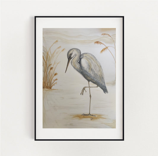 Shorebirds - White-faced Heron Art Print image 0