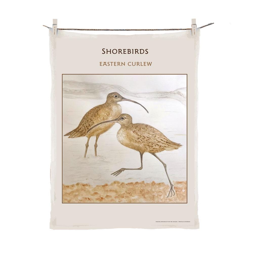 Shorebird Tea Towel - Eastern Curlew - Migratory Bird Australian made and exclusively designed